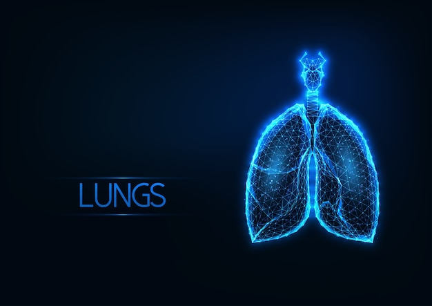 暗い青色の背景に未来的な輝く低ポリゴンの解剖学的肺ホログラム 医療診断技術 モダンなワイヤーフレームメッシュデザイン プレミアムベクター