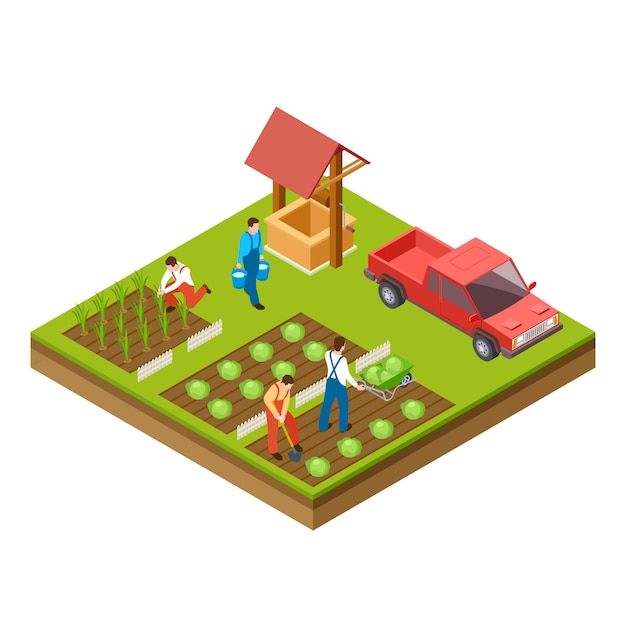 Premium Vector | Gardening and harvesting