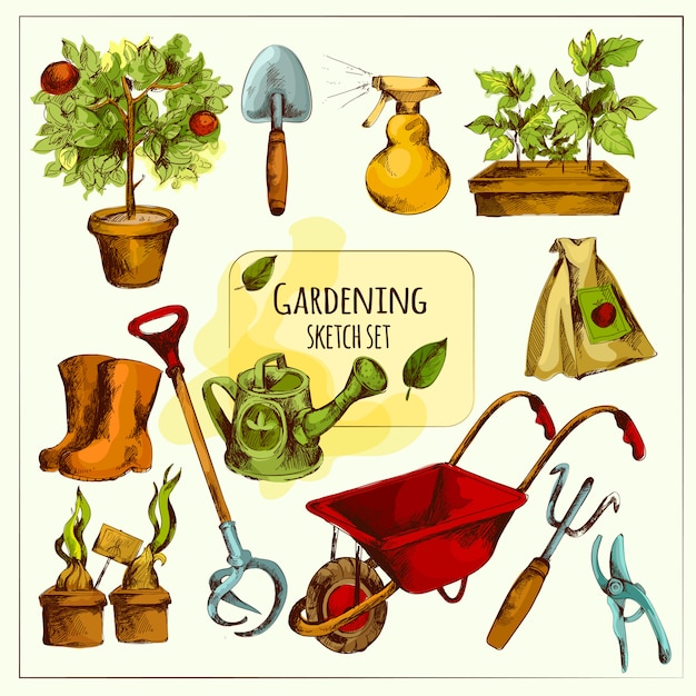 Gardening sketch set colored Vector | Free Download