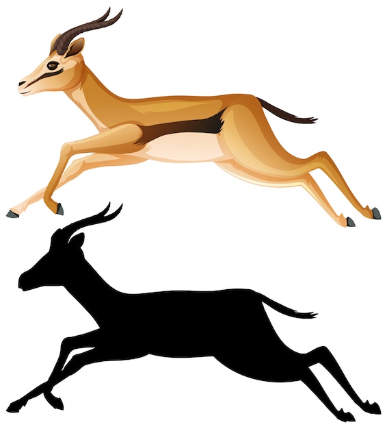 Download Free Vector | Gazelle cartoon character set