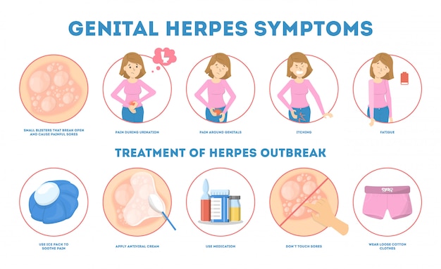 Genital Herpes Symptoms Infectious Dermatology Disease Blister On Skin As Symptom Of Virus