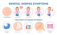 Genital Herpes Symptoms Infectious Dermatology Disease Blister On 