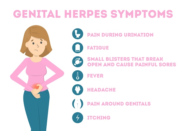Premium Vector Genital Herpes Symptoms Infectious Dermatology Disease Illustration