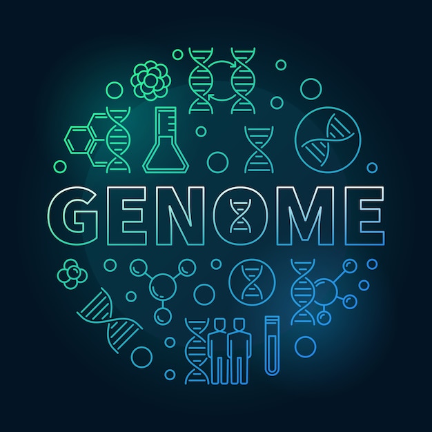 Premium Vector | Genome vector round concept colorful linear illustration