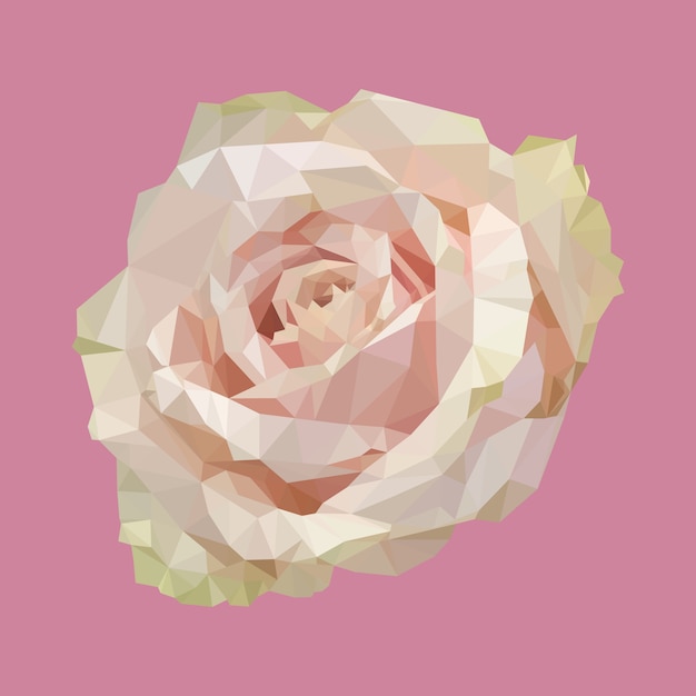 Download Premium Vector | Geometric polygonal light pink rose ...