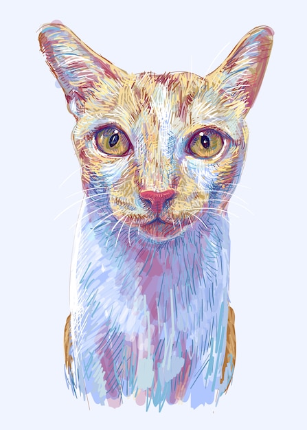 生姜猫 かわいい子猫の肖像画 手描きのイラスト プレミアムベクター