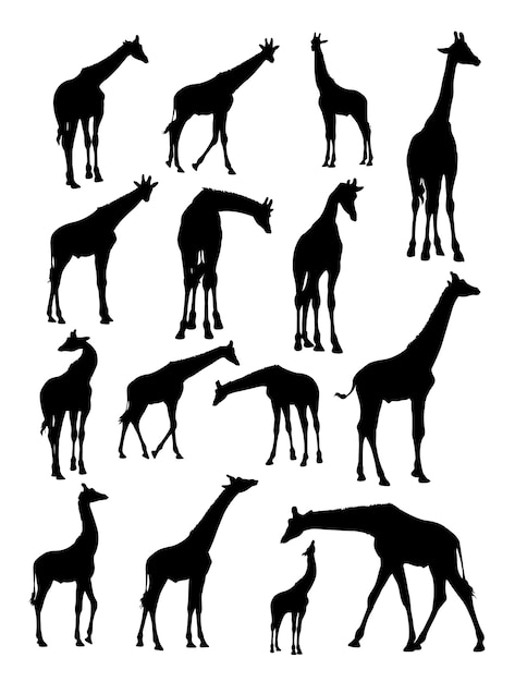 Download Giraffe animal silhouette | Premium Vector