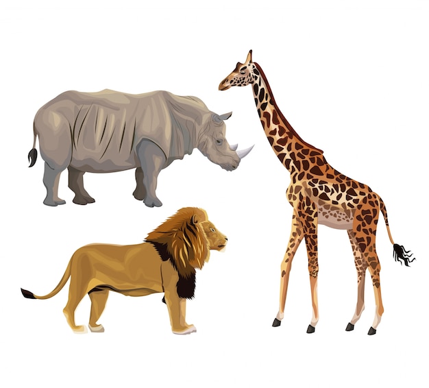 Download Premium Vector | Giraffe, lion and elephant isolated on ...