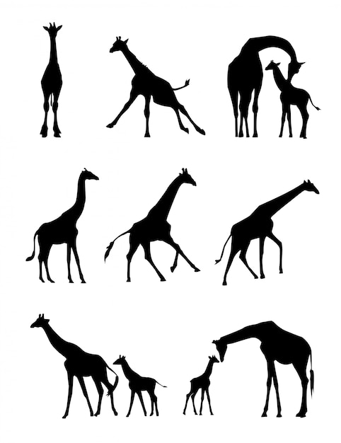 Download Giraffe silhouette | Premium Vector