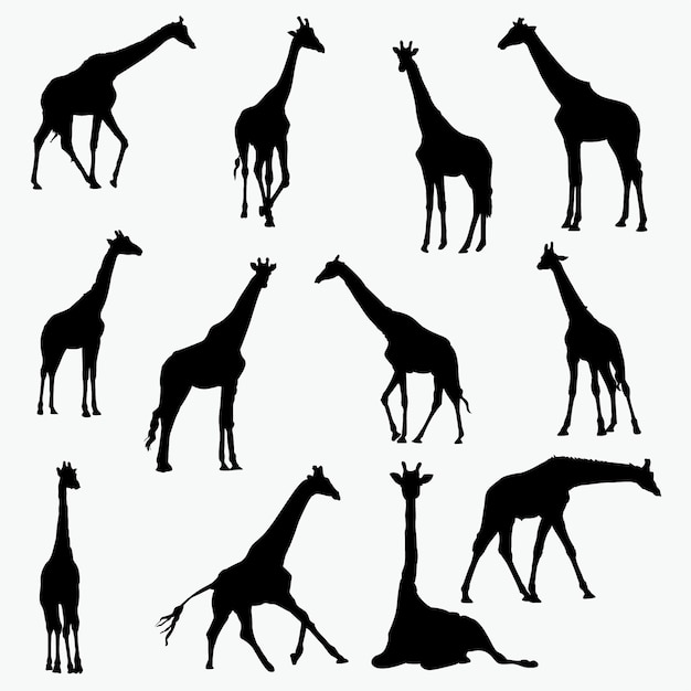 Download Giraffe silhouettes Vector | Premium Download