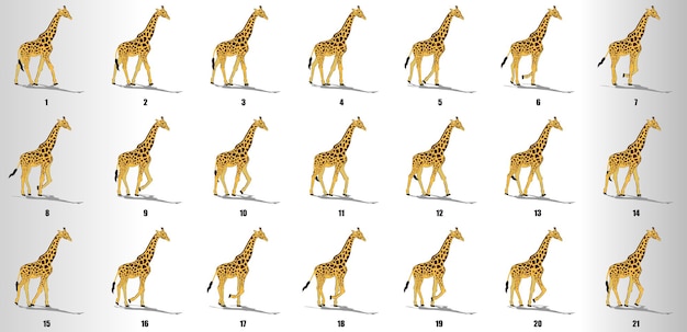 Giraffe walk cycle animation sequence vector Premium Vector