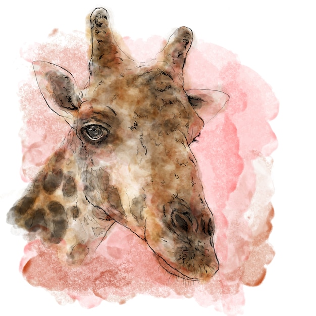 Download Giraffe on watercolor painting vector art. Vector ...