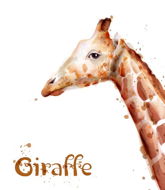Download Giraffe watercolor Vector | Premium Download