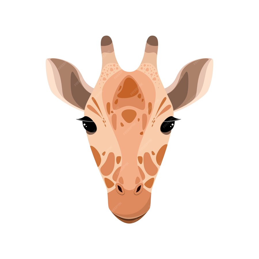 Premium Vector | Giraffes head on a white background cartoon design