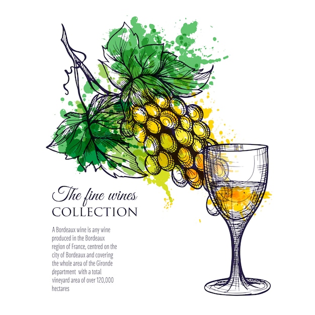 Glass Of White Wine With Branch Grapes
