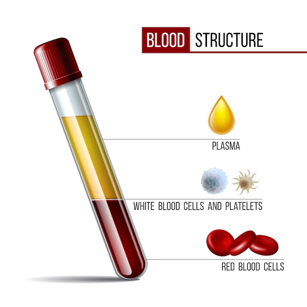 Premium Vector Glassware Tube Filled Fractioned Blood Plasma And Layers Red Blood Cells Medical Icon Structure And Blood Components Illustration Of A Flask With Red And White Blood Cells Plasma Platelets