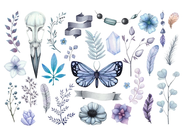 プレミアムベクター スカルレイヴン 青い蝶 花 クリスタル 羽のイラストの悲観的な水彩セット