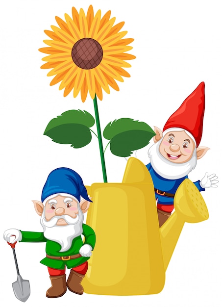 Download Gnomes with sunflower in watering can cartoon style on ...