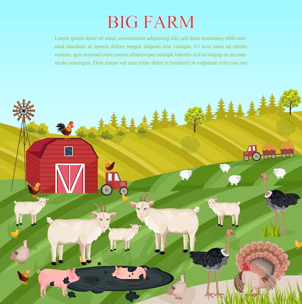 Premium Vector | Goats pigs and chicken animals at the farm