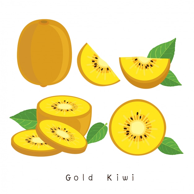 Premium Vector Gold Kiwi Fresh Fruit Isolated