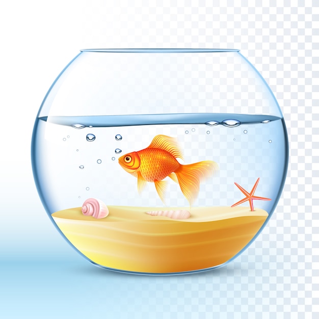 fishbowl downloads