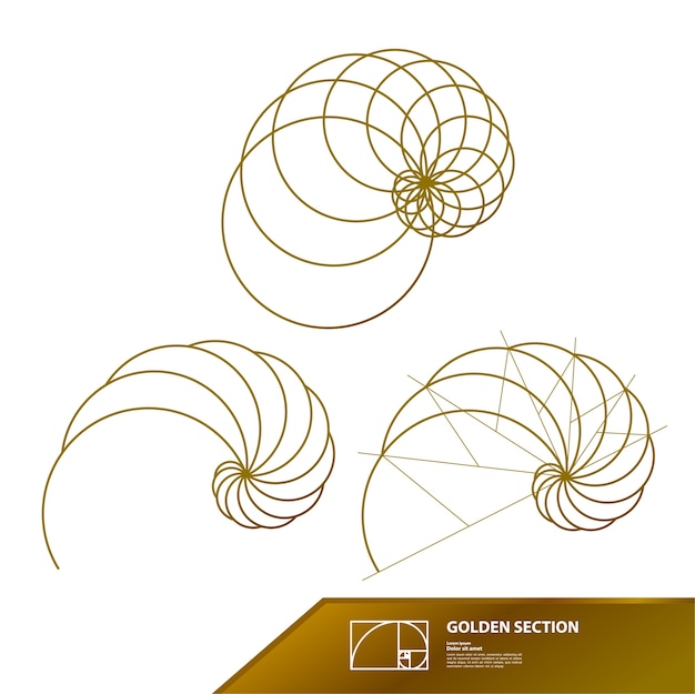 Premium Vector | Golden ratio for creative design