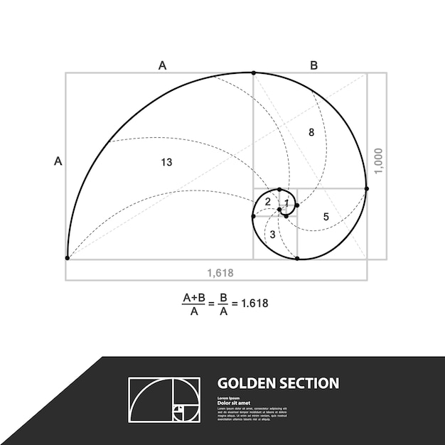 Premium Vector | Golden ratio for creative design