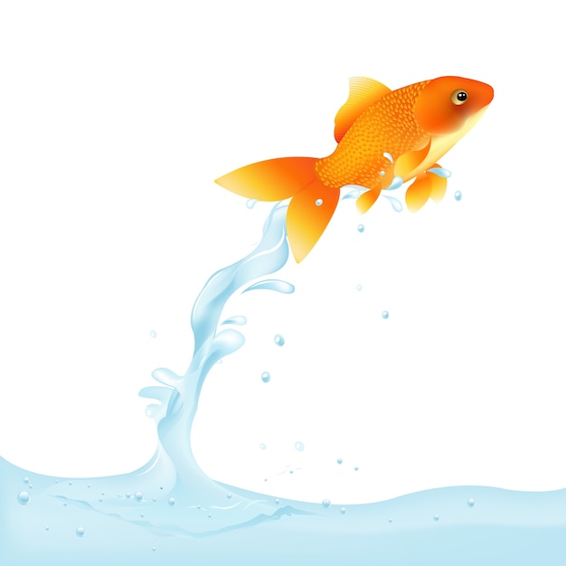 金魚が水から跳躍 イラスト プレミアムベクター