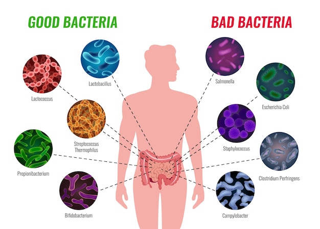 probiotiká, Vieš, aké sú najlepšie probiotiká na tvoj žalúdok?