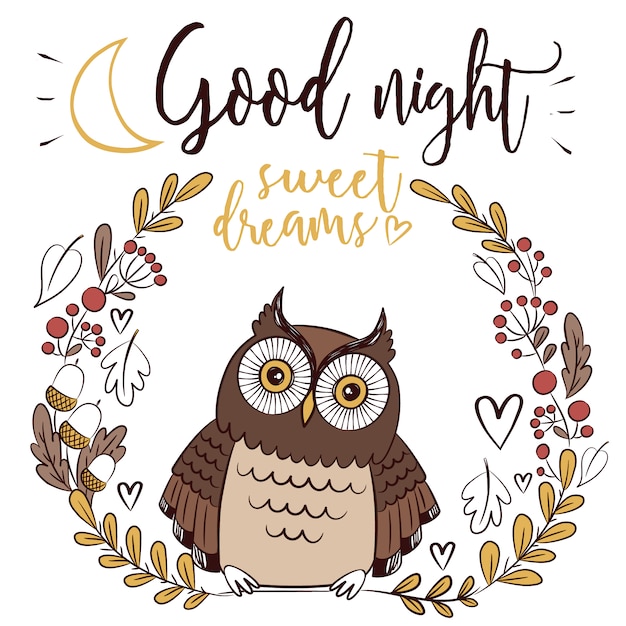 have a good night owl