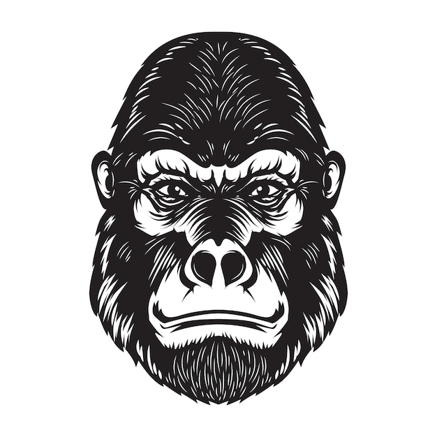 Premium Vector | Gorilla ape head illustration on white background ...