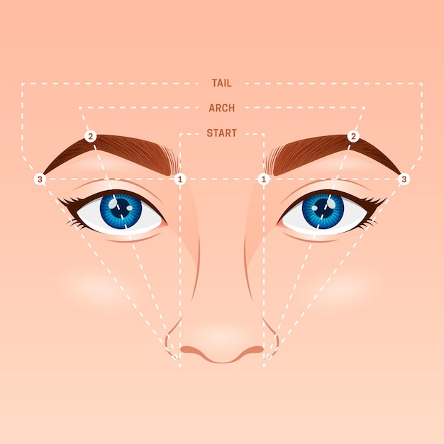 Free Vector Gradient brow mapping illustration