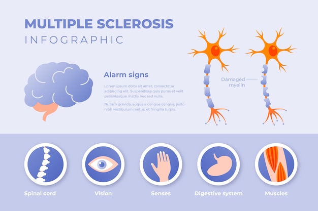 Premium Vector | Gradient multiple sclerosis infographic