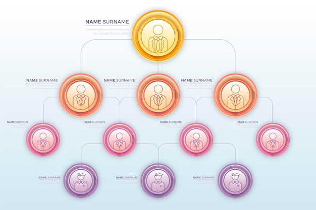 Free Vector | Gradient organizational chart infographic