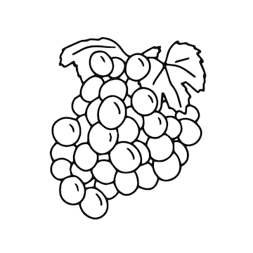 Premium Vector | Grape hand drawn bunch outline a simple sketch drawing