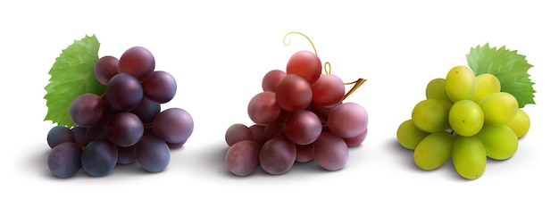 Grapes realistic composition with red rose and white grapes isolated Free Vector