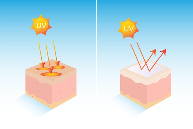 Premium Vector | Graphic uv protection for skin ultraviolet shield reflect