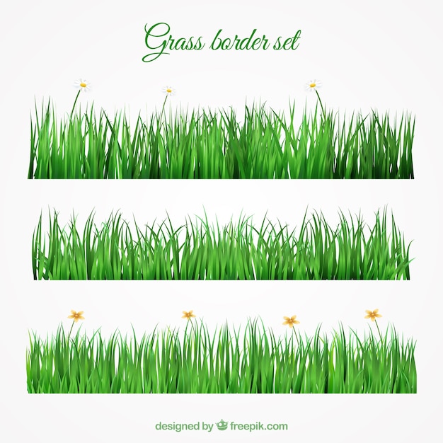 Download Grass border set in realistic design Vector | Free Download