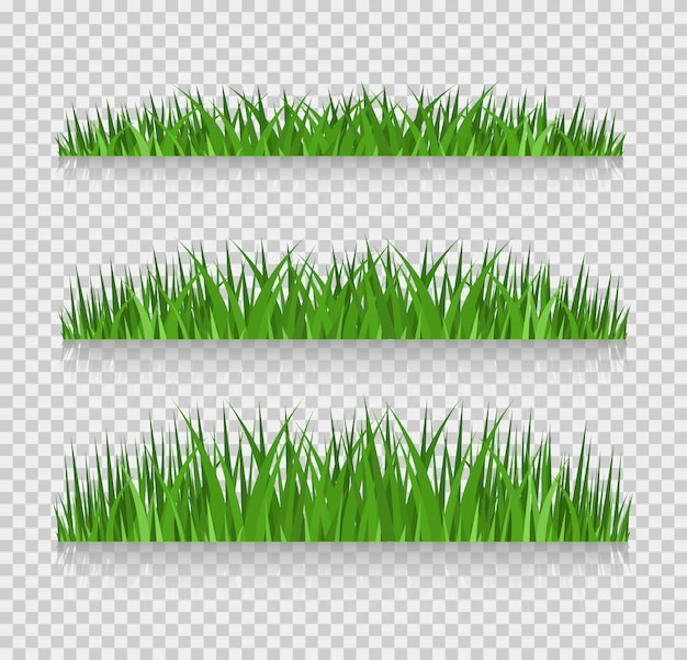 Download Grass borders set, vector illustration | Premium Vector