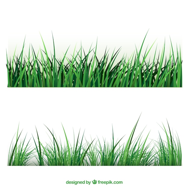 Grass borders