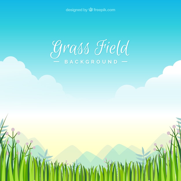 Grass field background in flat design
