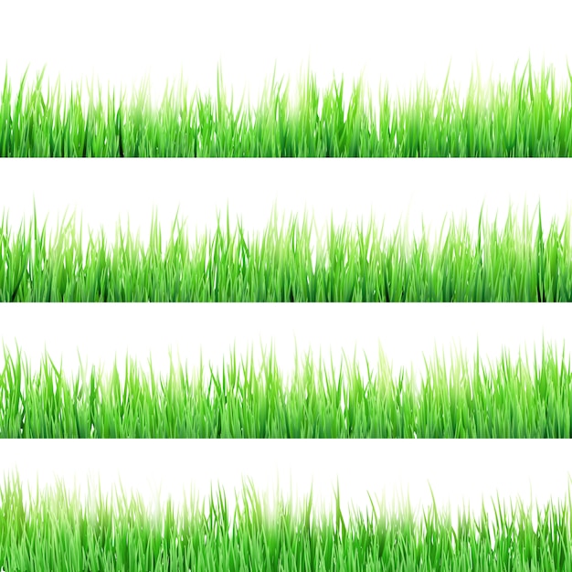 Premium Vector | Grass isolated on white.