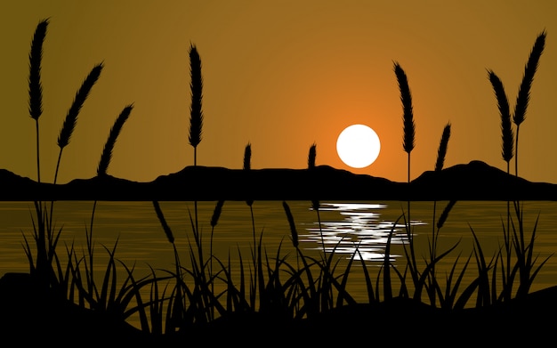 Premium Vector | Grass silhouette sunset landscape with lake