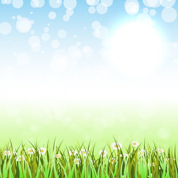 Grass with flowers background