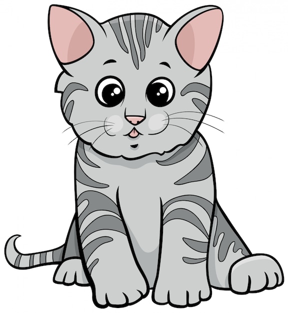 Cute Grey Tabby Cat Head Cat Clipart Cat Tabby Png Transparent | The ...