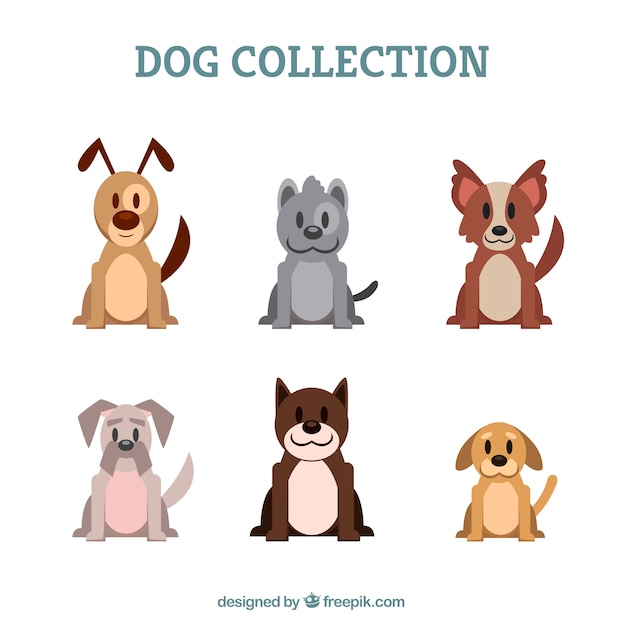 Great collection of flat dogs