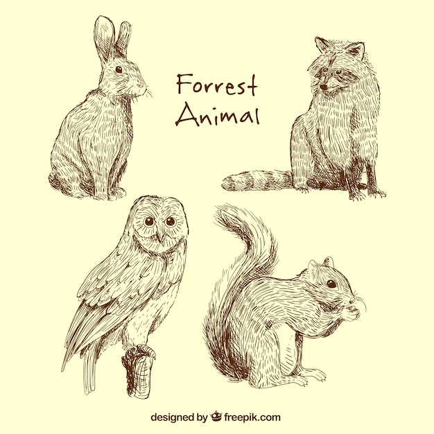 Great collection of forest animals