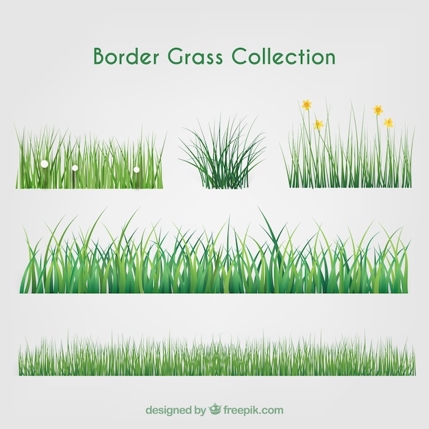 Great collection of grass borders