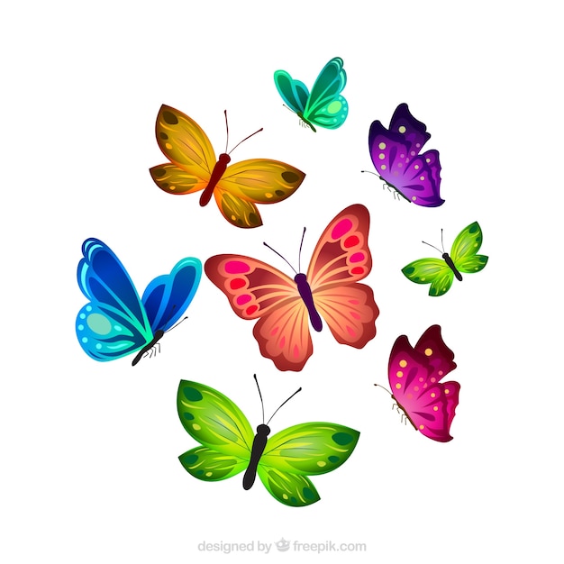Great collection of realistic\
butterflies