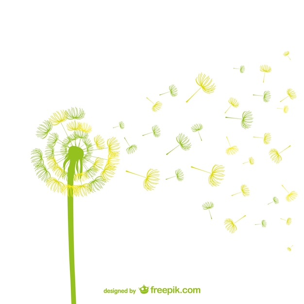 Green and yellow dandelion vector